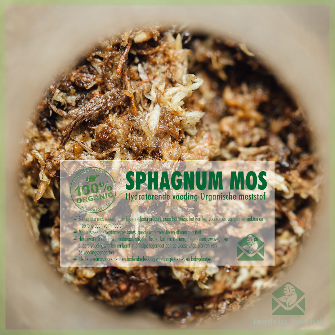 Musgo sphagnum vivo (mix) 1 litro - Plantas Carnívoras España