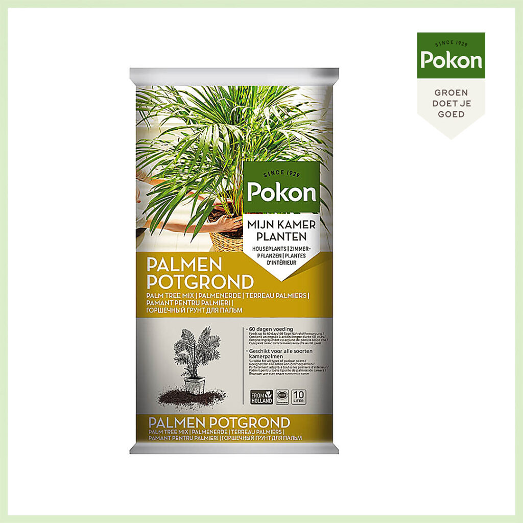 Philodendron Pokon Palm Potgrond 10 L Kopen STEKJESBRIEF NL